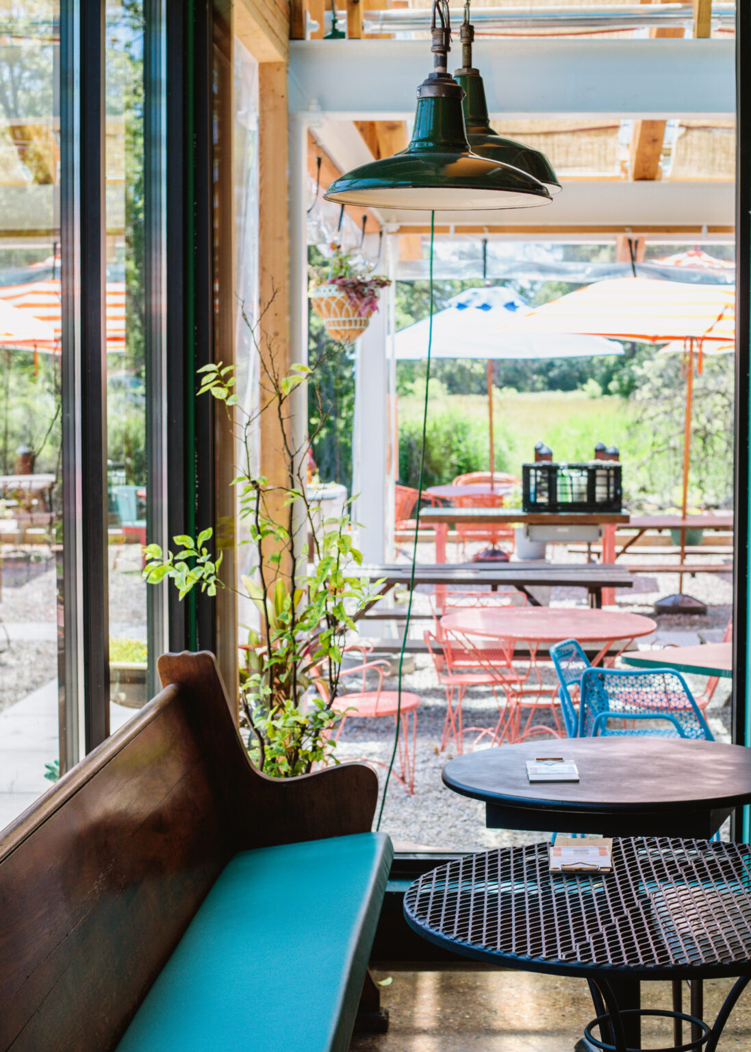 Coriander Kitchen and Farms Concetti