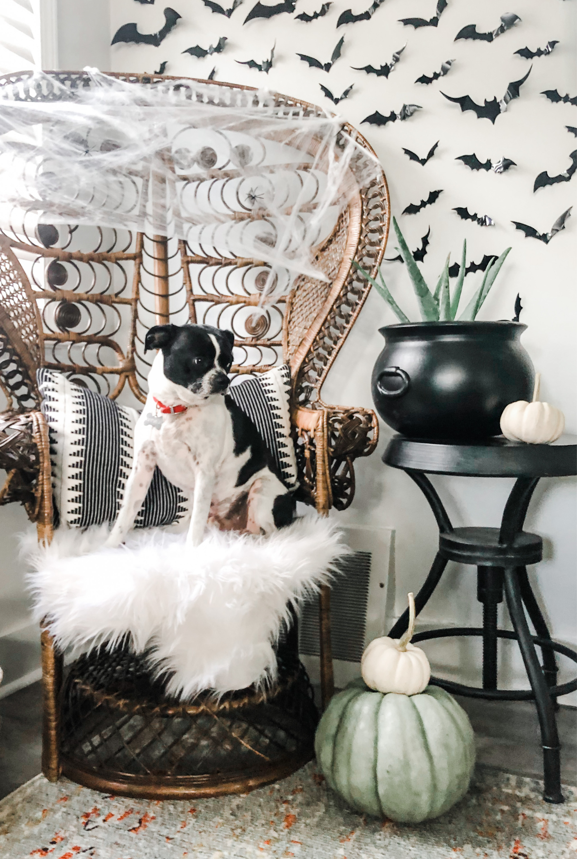 How to Elevate Holiday Themes to Match Your Aesthetic: Halloween Edition