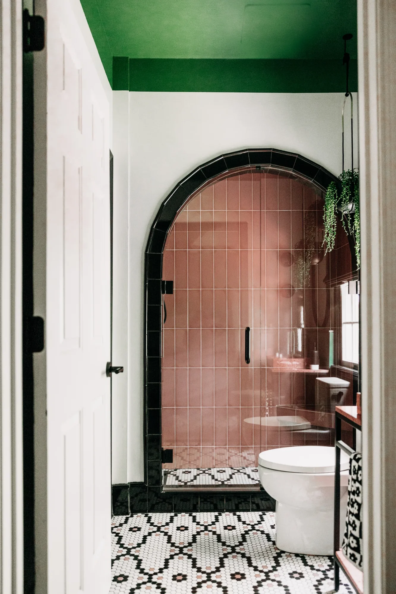 Arched opening into the pink tiled shower with a hanging plant.